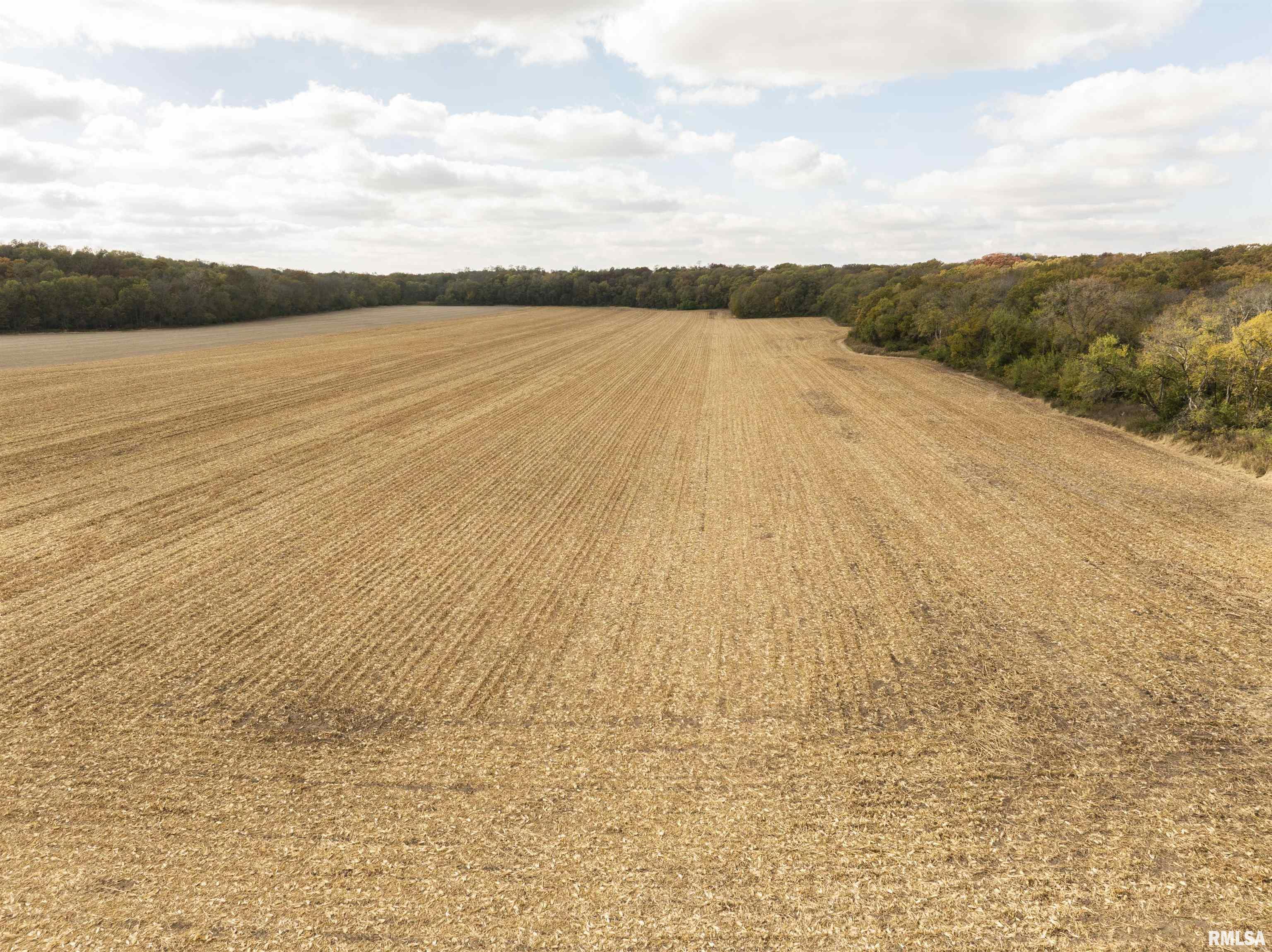 0 West Knox Road Avon, IL 61415 - Photo 5 of 20