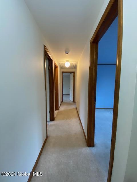 46 Pitch Pine Road Albany, NY 12203 - Photo 28 of 38 46 p up hall