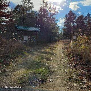 46 Pitch Pine Road Albany, NY 12203 - Photo 7 of 38 46 p aaaaa