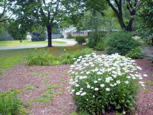 51566 Cherry Road Granger, IN 46530 - Photo 8 of 8