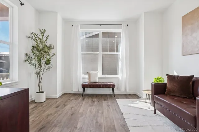 a living room with furniture and a potted plant