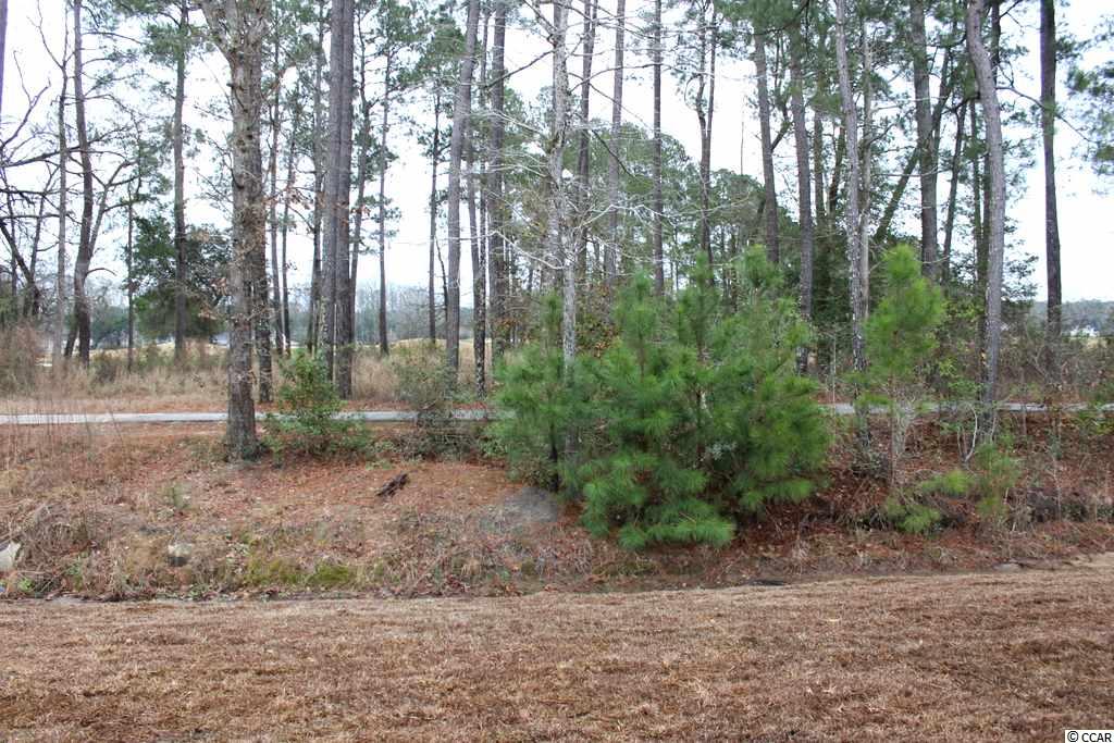 512 Whiddy Loop Conway, SC 29526 - Photo 24 of 37 Gallery Image 24
