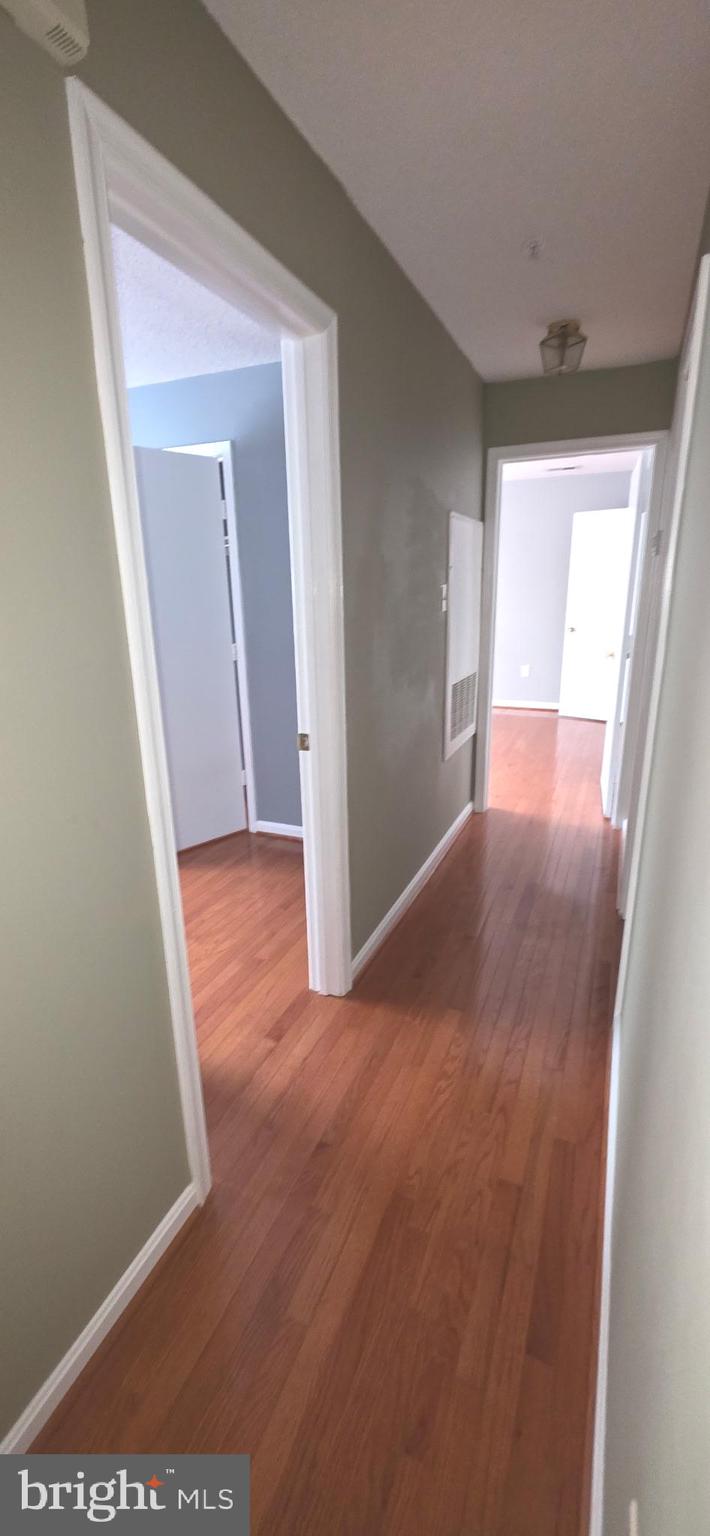14201 Woolen Oak Court, Unit 932 Silver Spring, MD 20906 - Photo 10 of 10 a view of hallway with front door