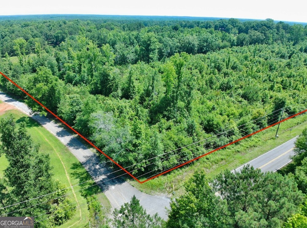 0 Prospect Road Nauvoo, AL 35578 - Photo 19 of 19