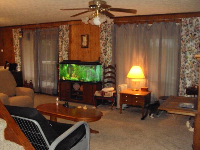 6167 New Gallatin Road Adolphus, KY 42120 - Photo 3 of 30 Gallery Image 3