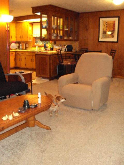 6167 New Gallatin Road Adolphus, KY 42120 - Photo 5 of 30 Gallery Image 5