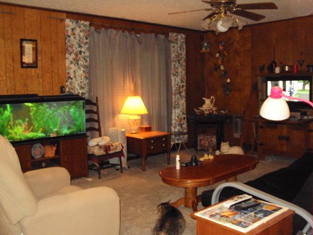 6167 New Gallatin Road Adolphus, KY 42120 - Photo 10 of 30 Gallery Image 10