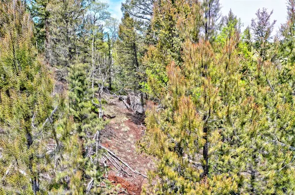 $39,900 | 28 Old Squaw Road, Como, CO 80432