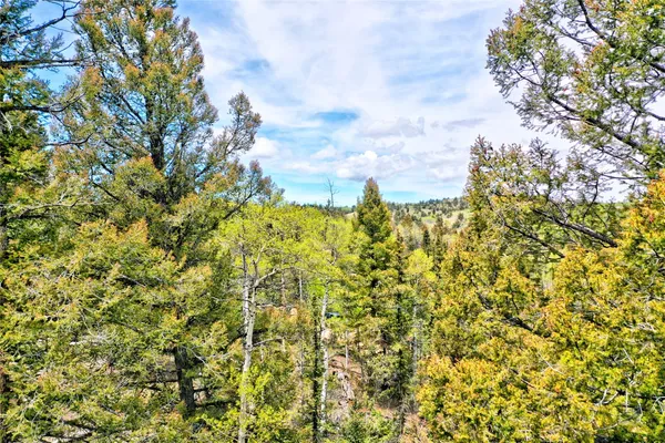 $39,900 | 28 Old Squaw Road, Como, CO 80432