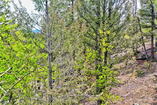 $39,900 | 28 Old Squaw Road, Como, CO 80432