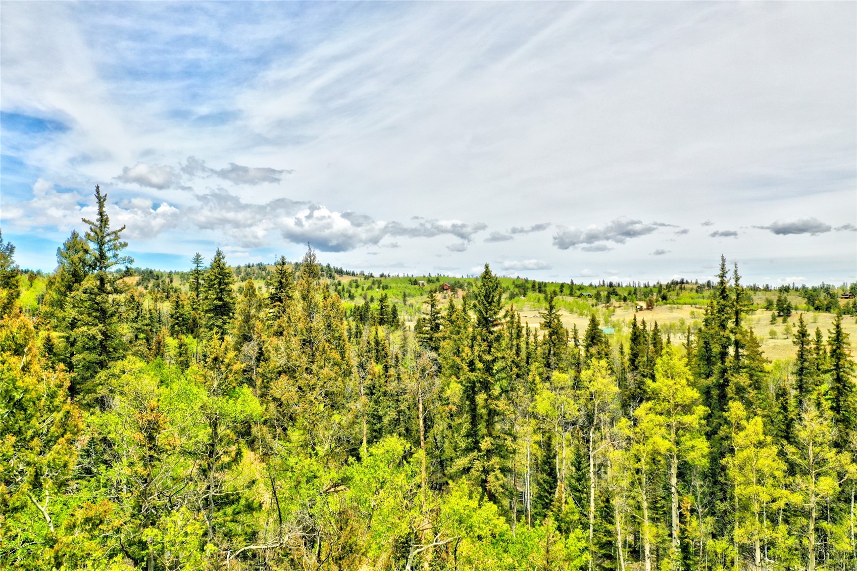 28 Old Squaw Road Como, CO 80432 - Photo 5 of 15 View of wooded area
