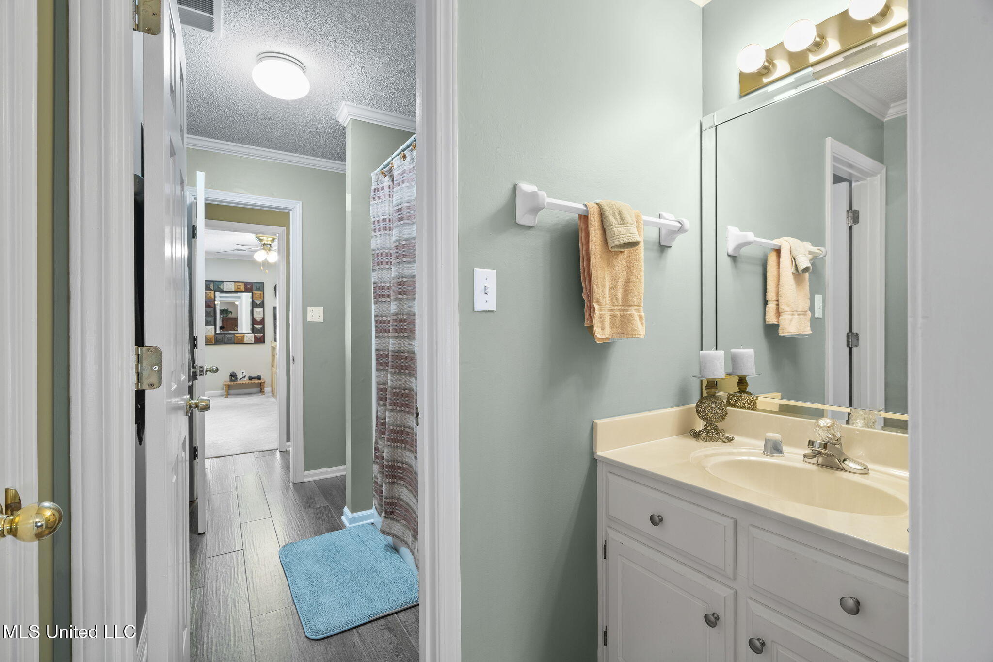 3315 Plum Point Road East Olive Branch, MS 38654 - Photo 25 of 43 29-web-or-mls-3315 Plum Point Rd E-29