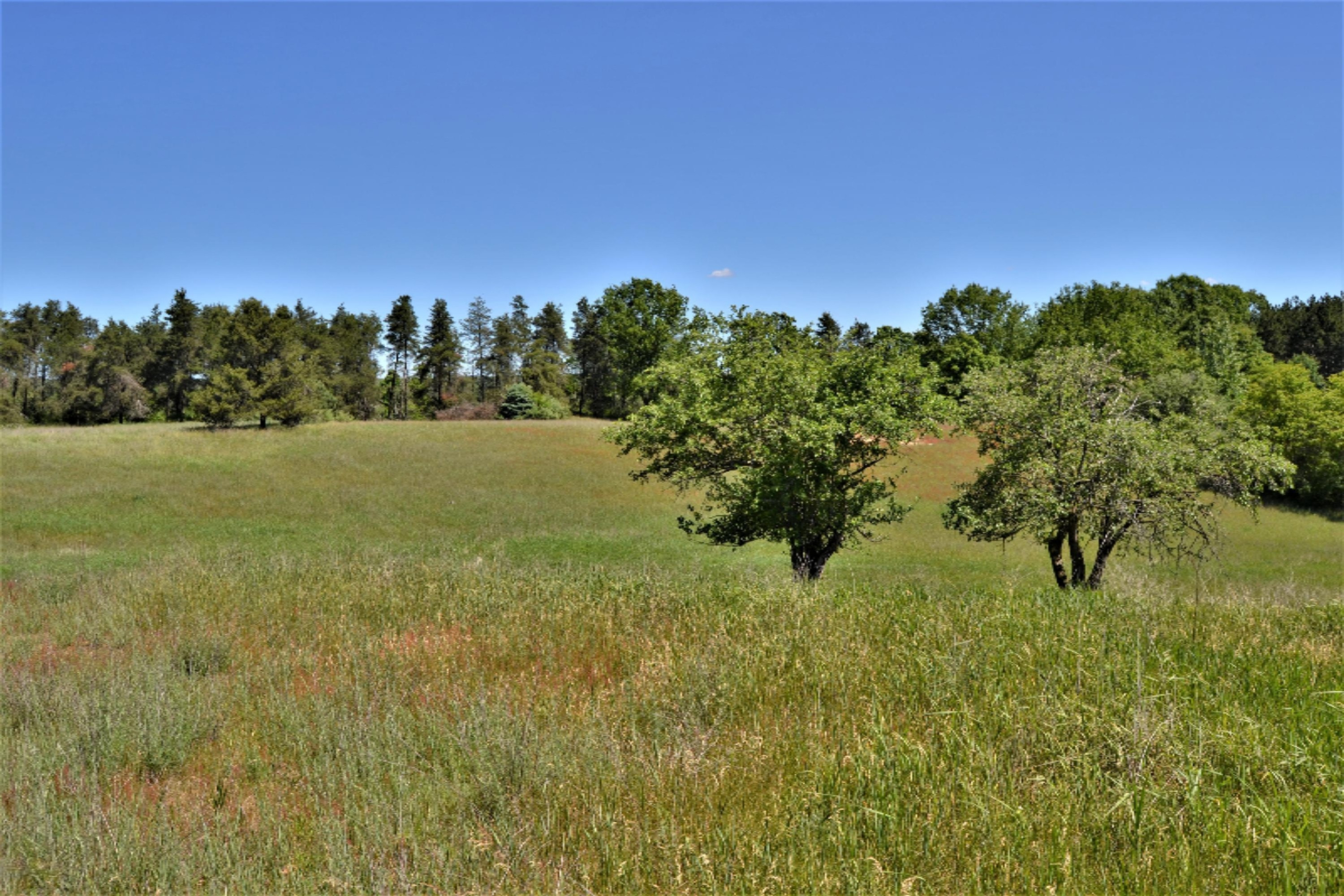 16536 Jefferson Road Morley, MI 49336 - Photo 38 of 61 DSC_0973
