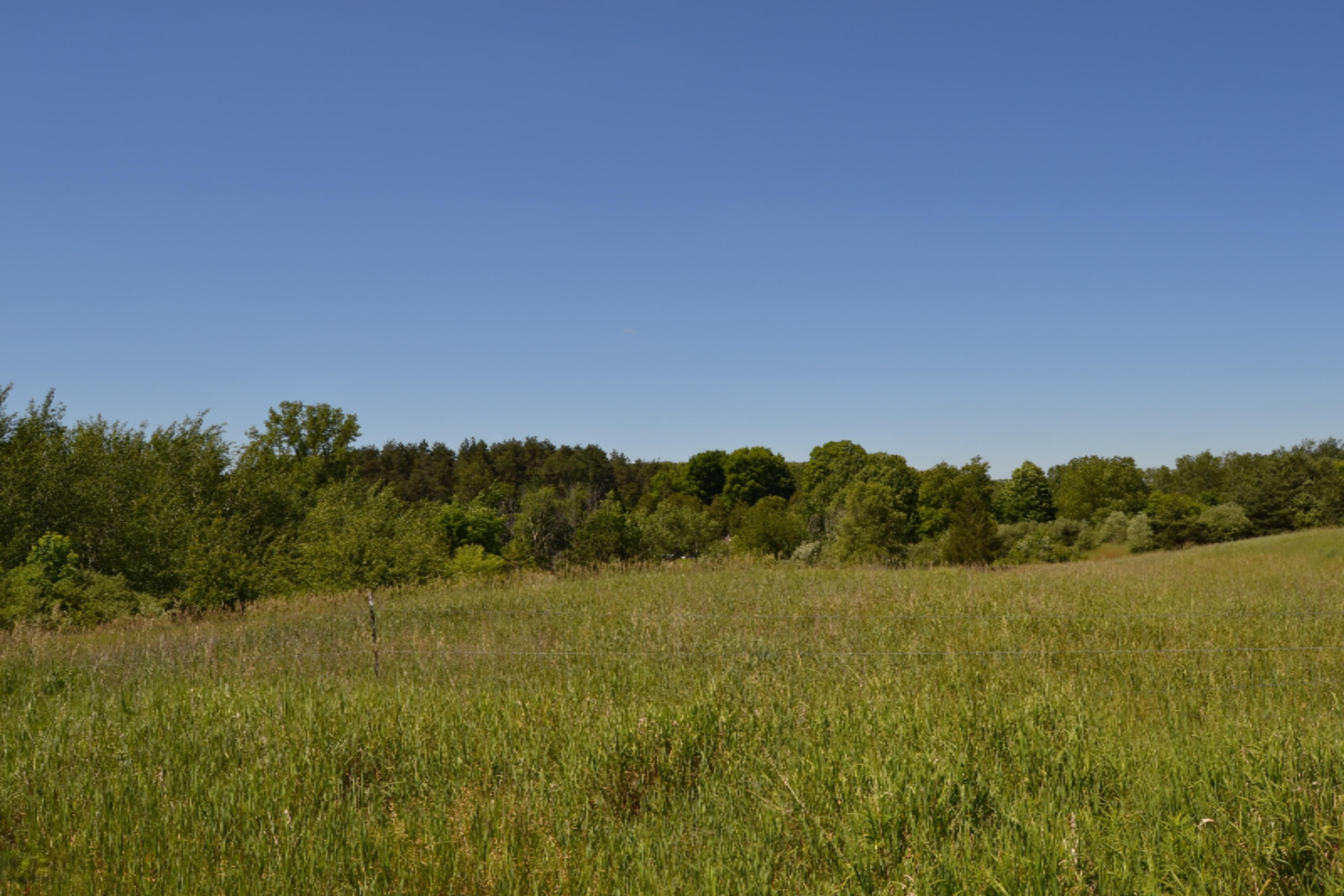 16536 Jefferson Road Morley, MI 49336 - Photo 44 of 61 DSC_0979