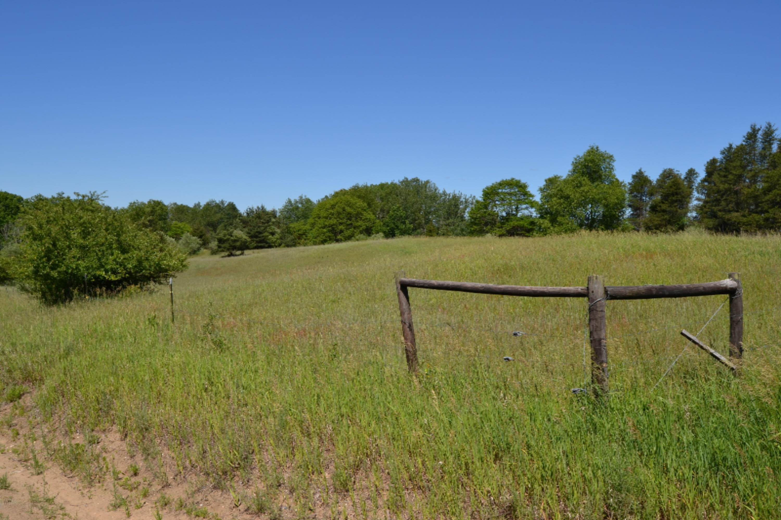 16536 Jefferson Road Morley, MI 49336 - Photo 45 of 61 DSC_0980