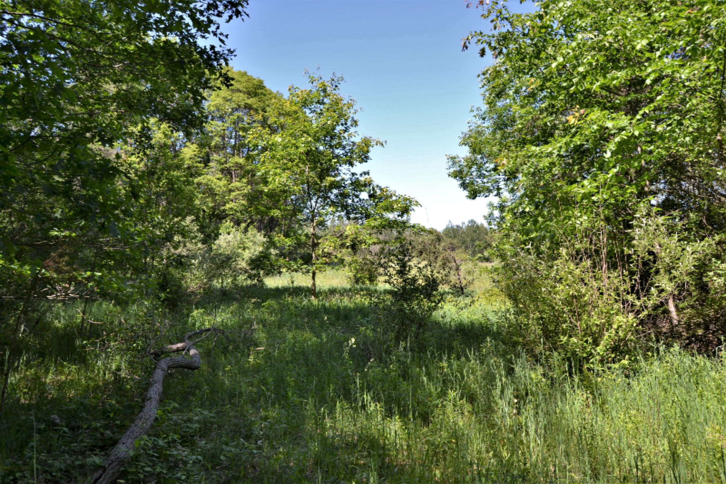 16536 Jefferson Road Morley, MI 49336 - Photo 54 of 61 DSC_0995