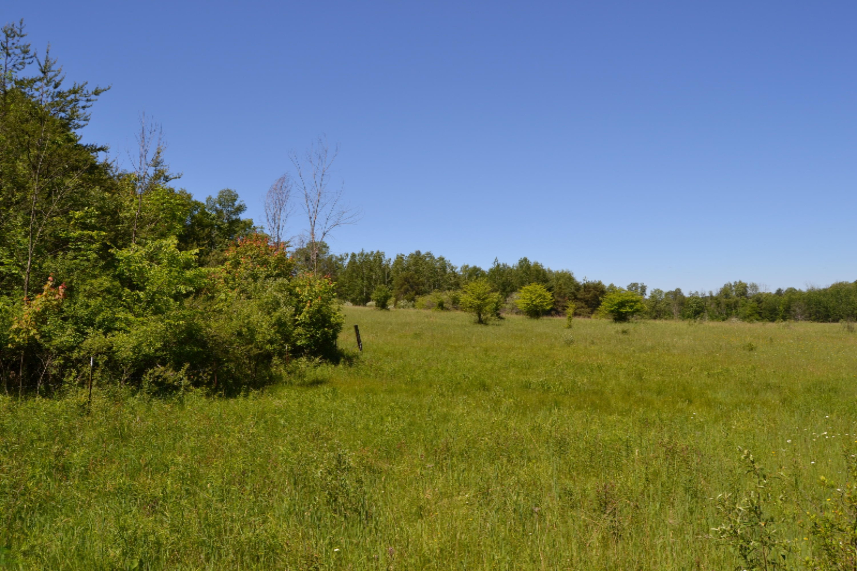 16536 Jefferson Road Morley, MI 49336 - Photo 55 of 61 DSC_0997