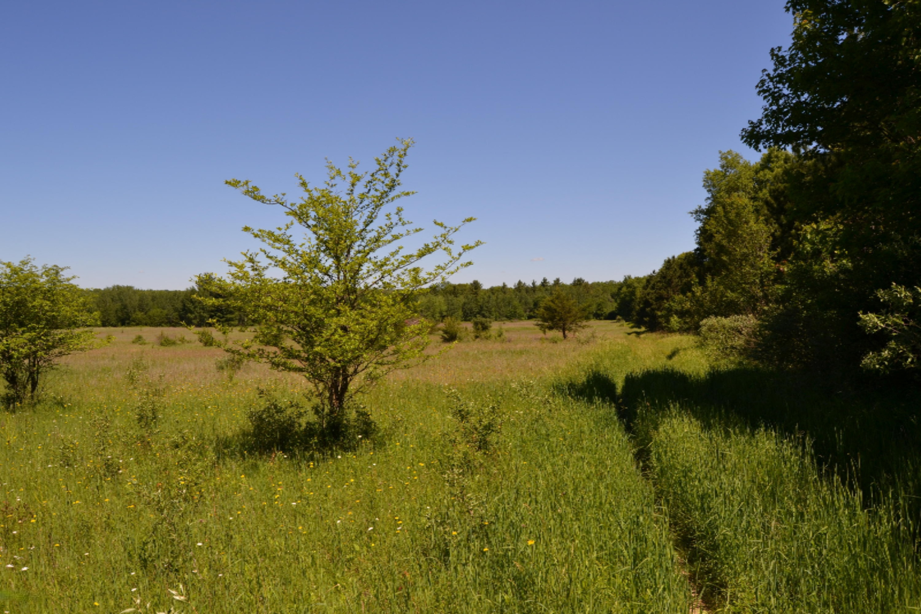 16536 Jefferson Road Morley, MI 49336 - Photo 56 of 61 DSC_0999
