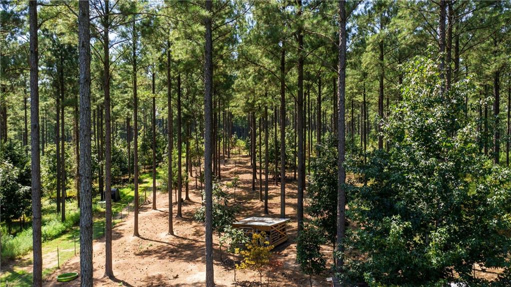 3390 Pleasant Valley Road Southeast Rome, GA 30161 - Photo 21 of 27 Gallery Image 21