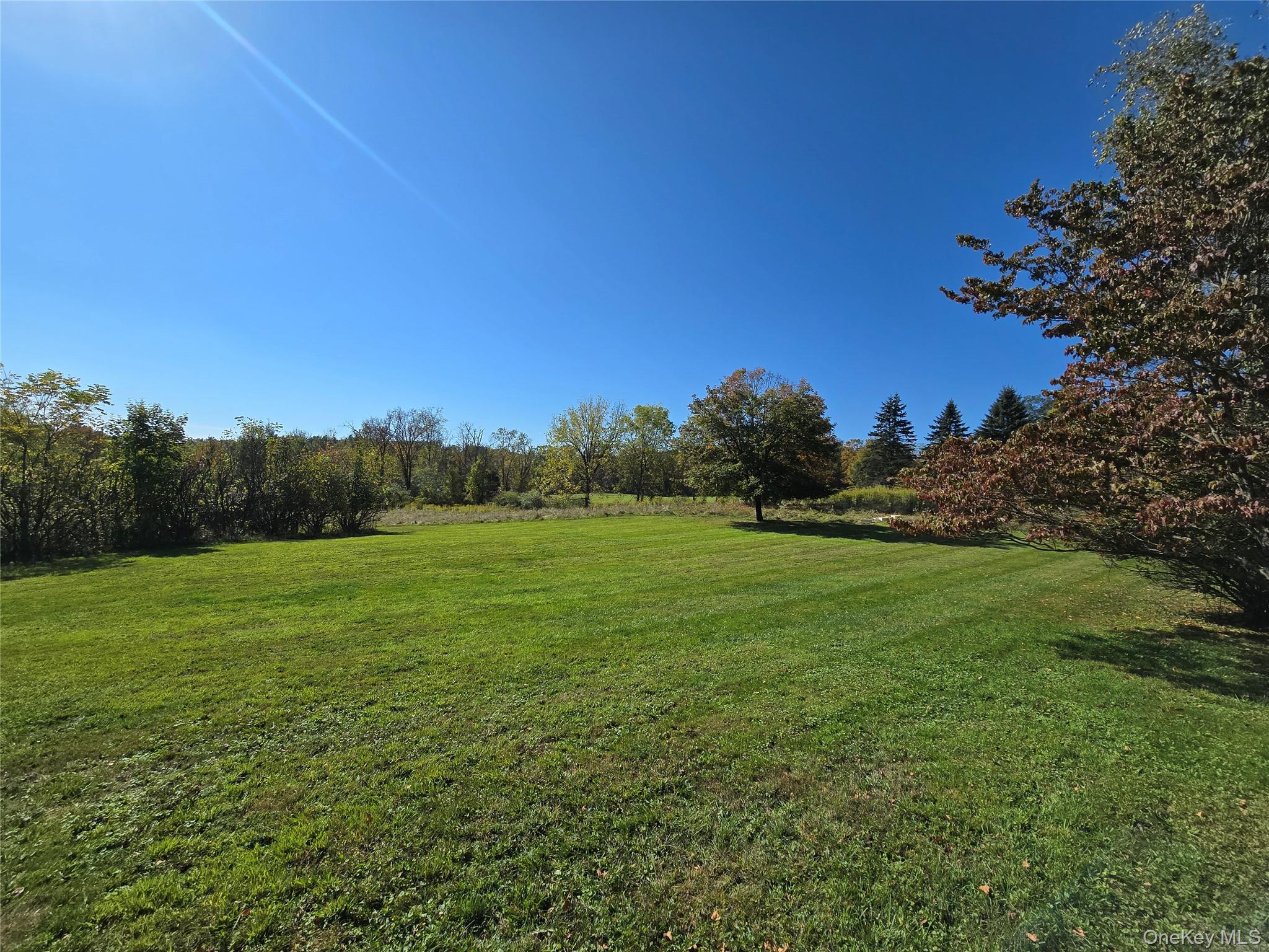 171 Winterton Road Bloomingburg, NY 12721 - Photo 10 of 13 Field