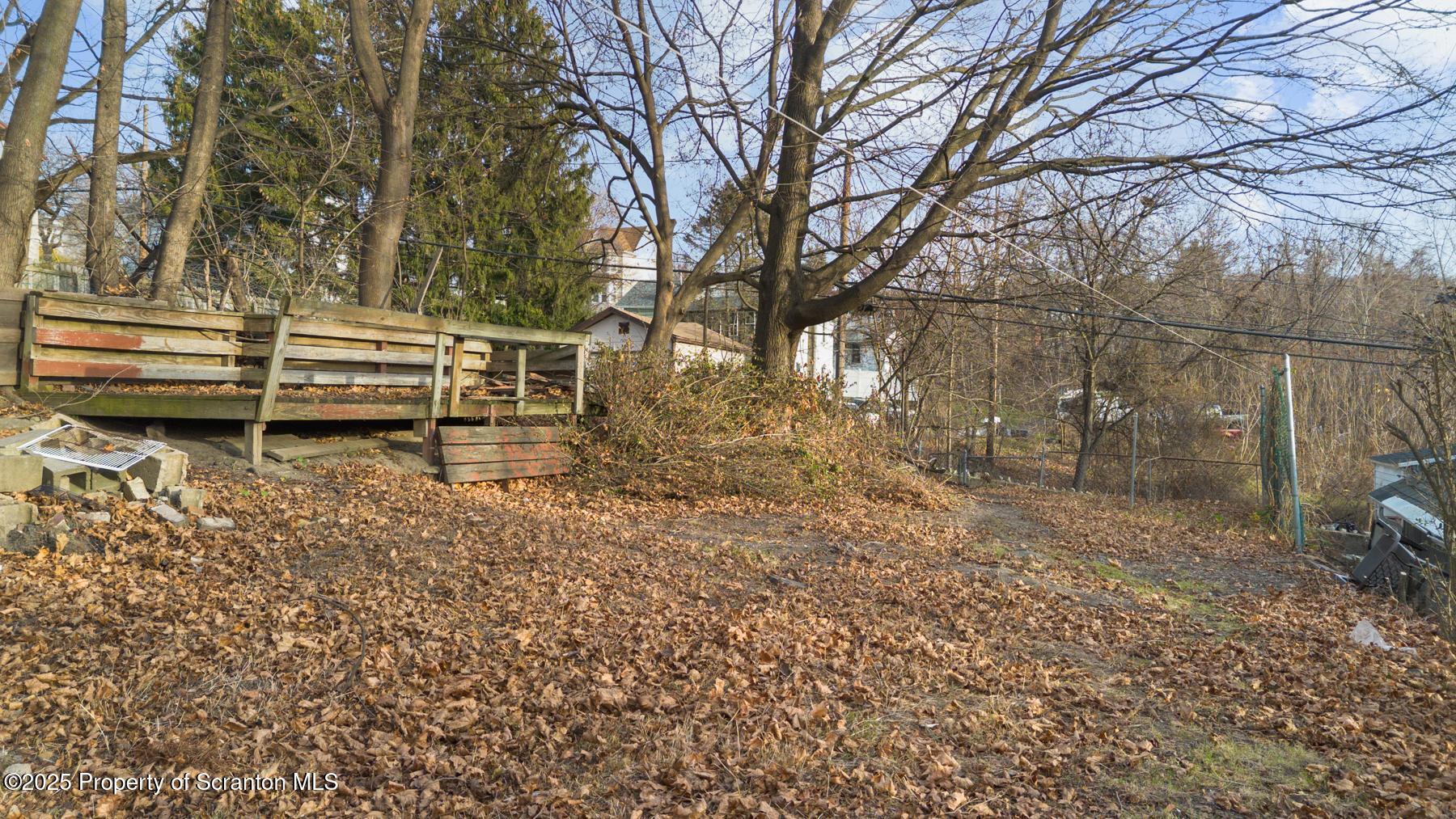 1019 South Webster Avenue Scranton, PA 18505 - Photo 5 of 36 a backyard of a house with lots of green space