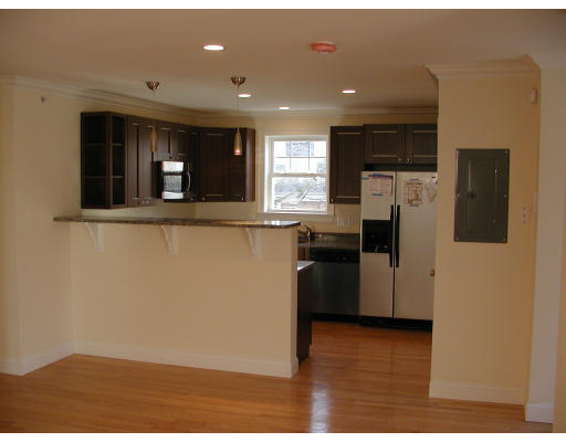 6 Forest Street, Unit 3 Boston, MA 02119 - Photo 3 of 10 Gallery Image 3