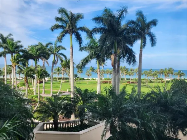 a view of a palm and palm trees