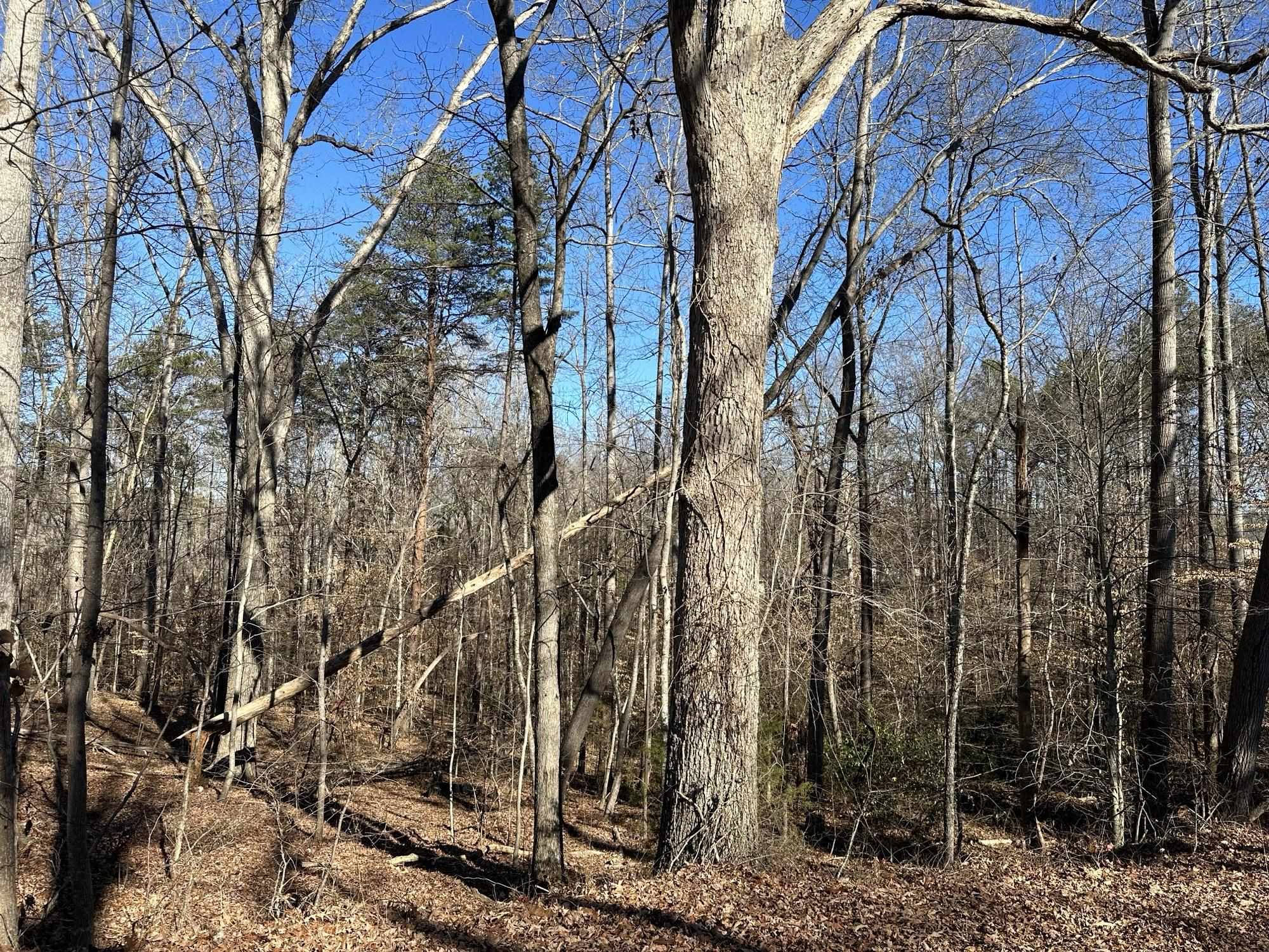 Foxfire Drive Gaffney, SC 29340 - Photo 2 of 3