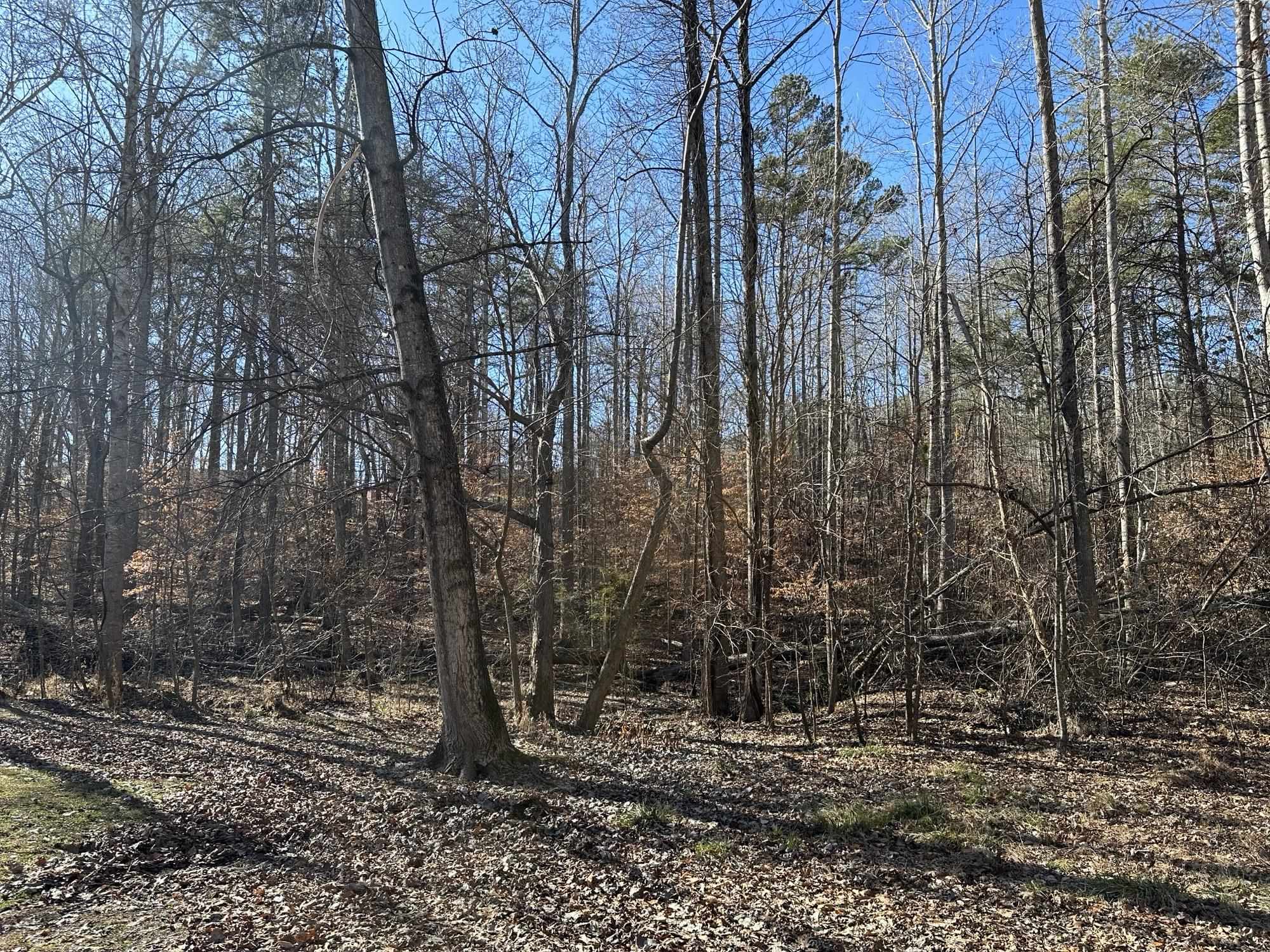 Foxfire Drive Gaffney, SC 29340 - Photo 3 of 3