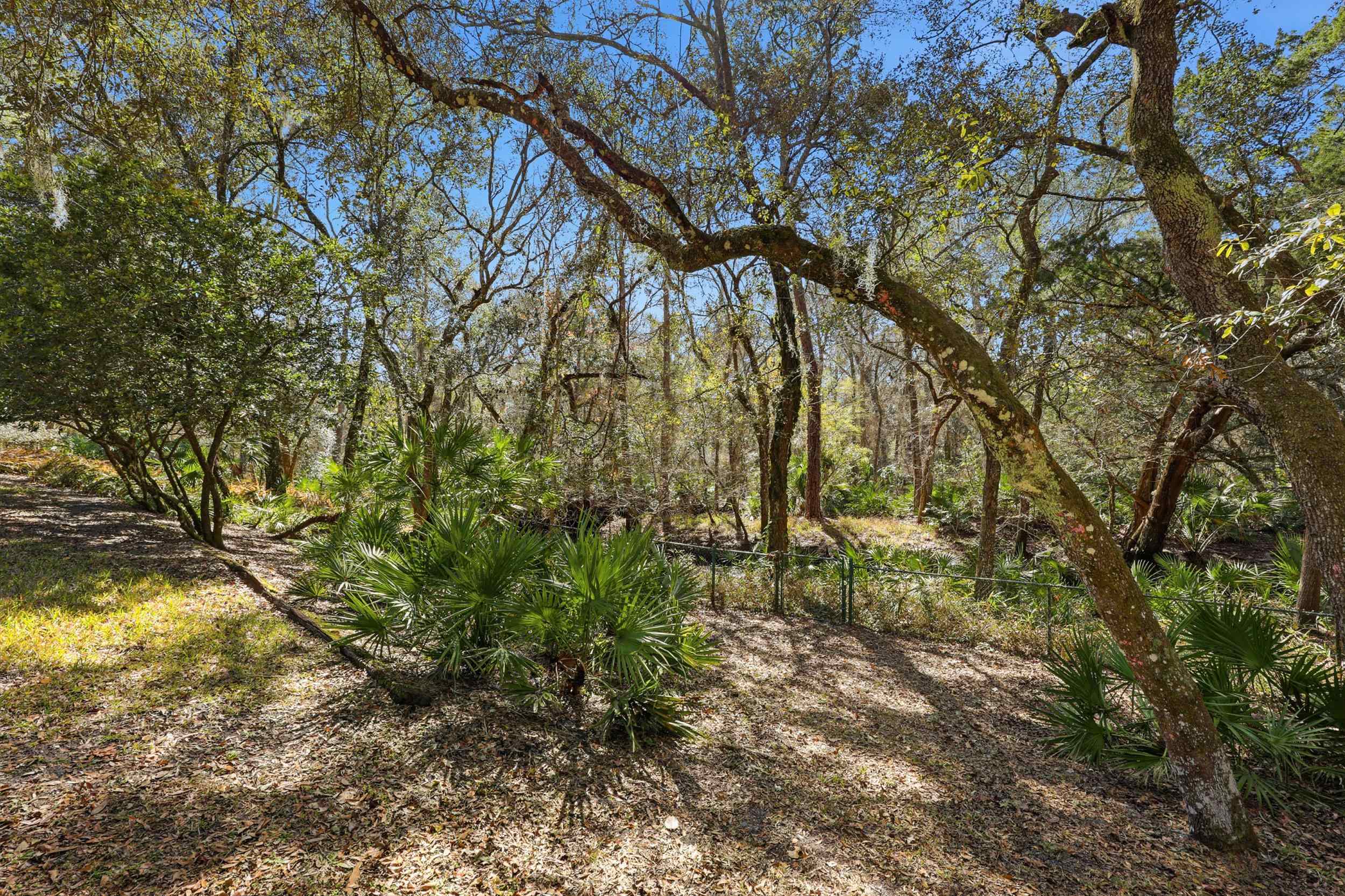 3577 Red Cloud Trail St. Augustine, FL 32086 - Photo 59 of 90