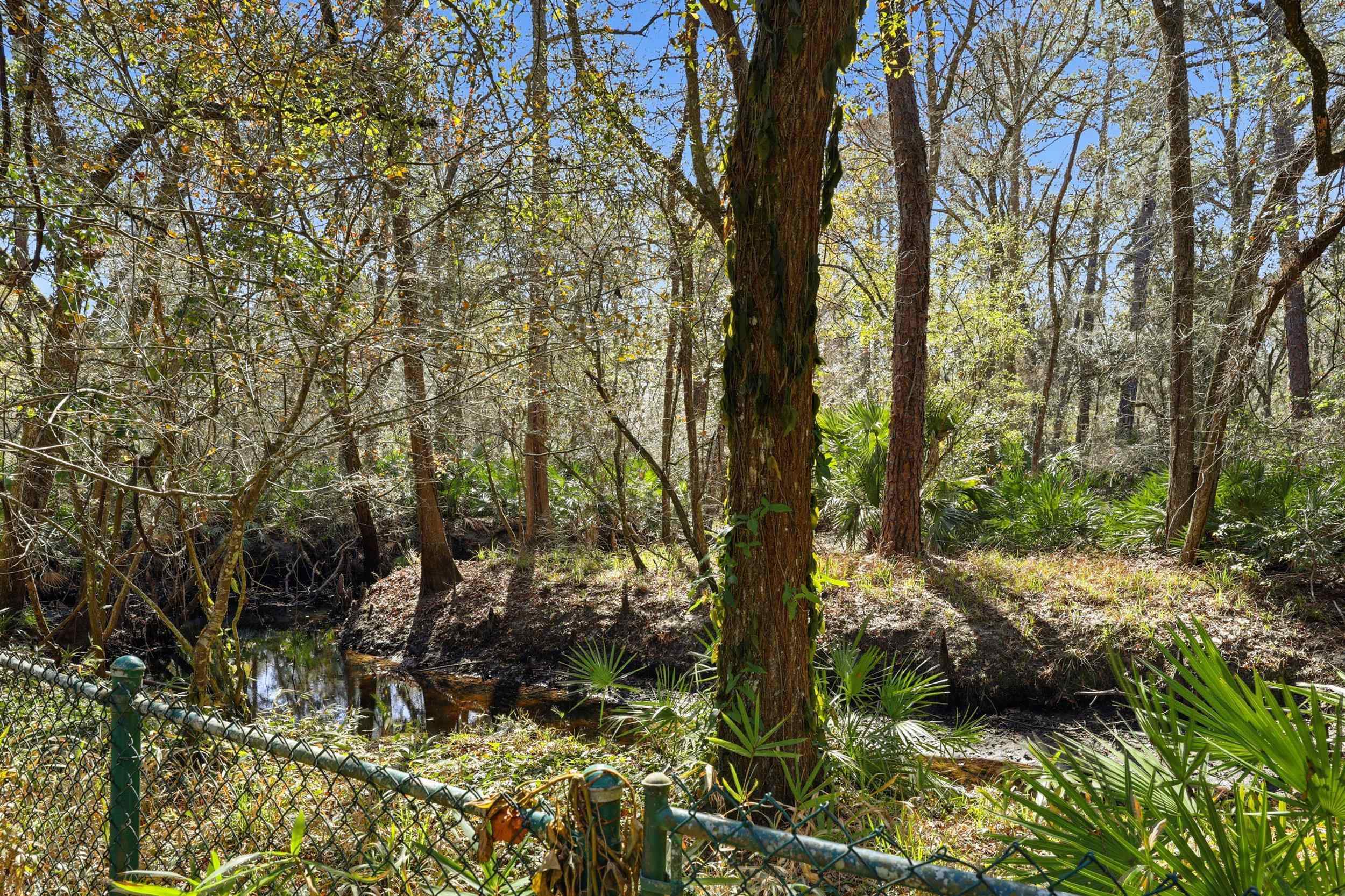 3577 Red Cloud Trail St. Augustine, FL 32086 - Photo 60 of 90