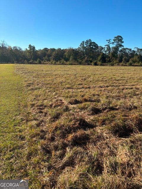 4880 Highway 280 Claxton, GA 30417 - Photo 2 of 10 a view of an ocean