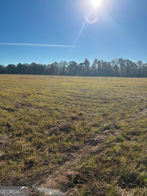 4880 Highway 280 Claxton, GA 30417 - Photo 7 of 10 a view of an ocean