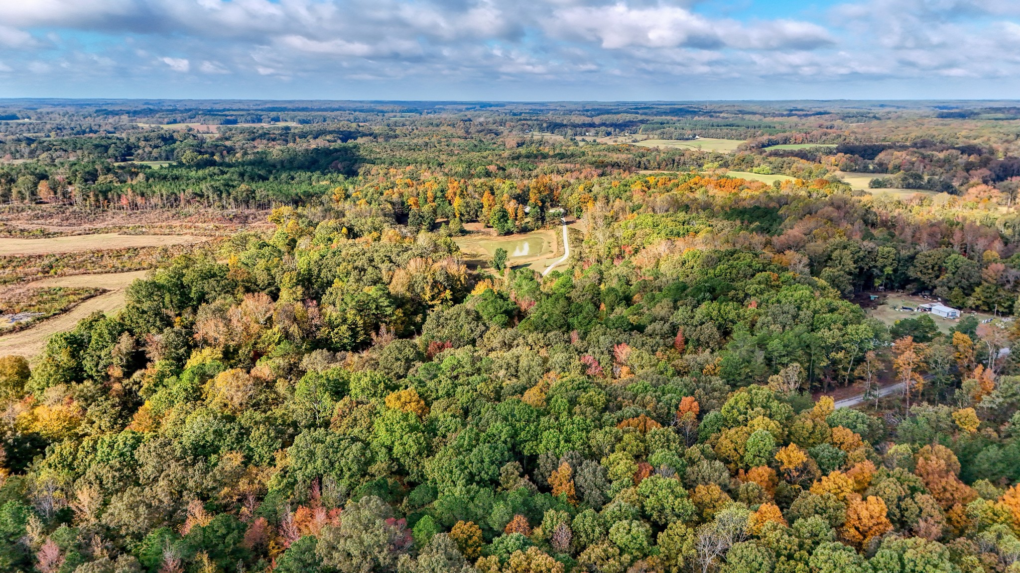 555 Brandon Road Huntingdon, TN 38344 - Photo 2 of 42 a view of a city with lots of bushes