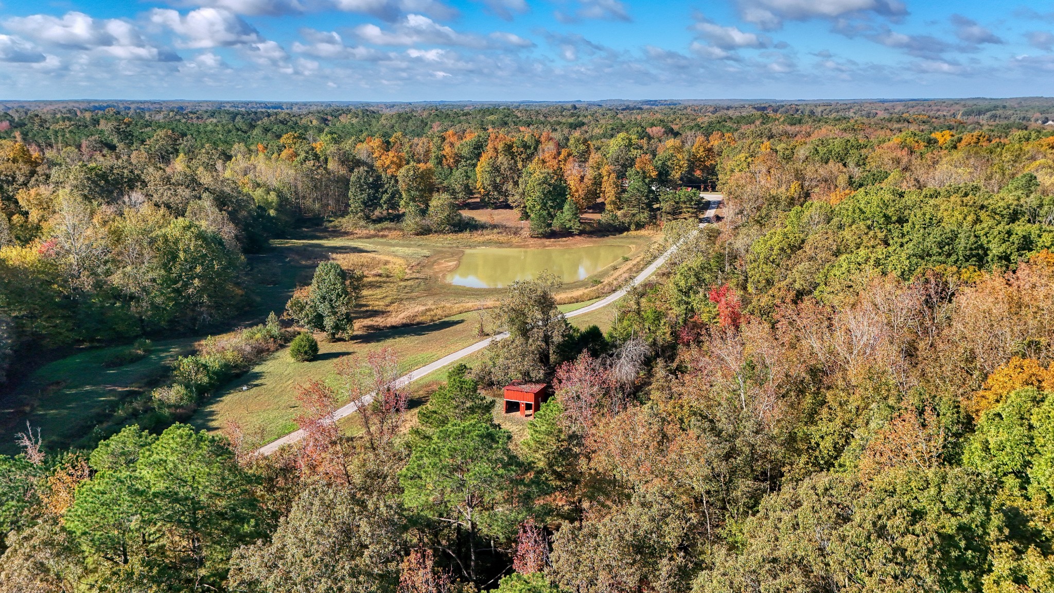 555 Brandon Road Huntingdon, TN 38344 - Photo 5 of 42 a view of a yard with table and chairs
