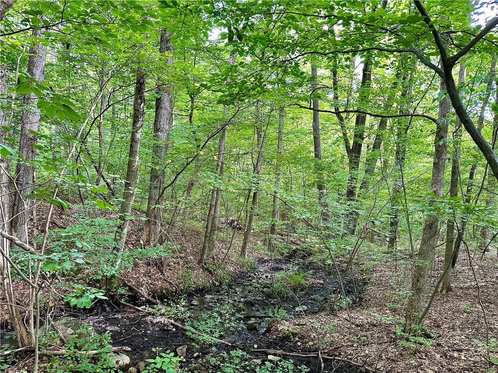 0 Lanning Road Naples, NY 14512 - Photo 17 of 33