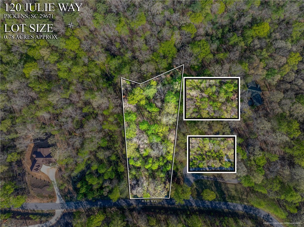 120 Julie Way Pickens, SC 29671 - Photo 5 of 20