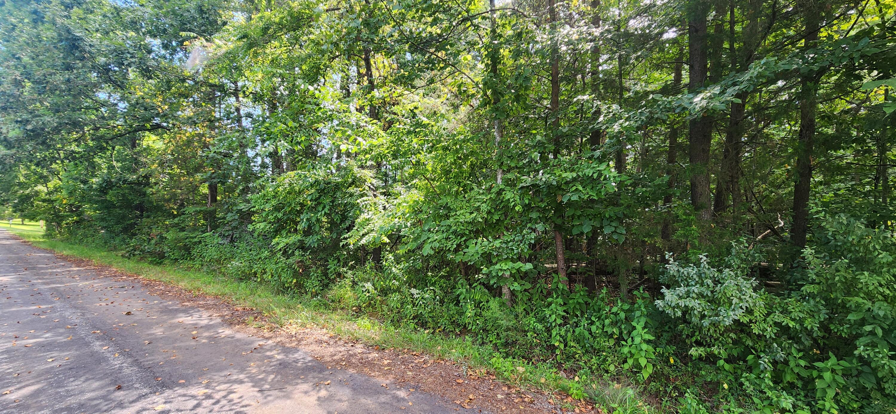 0 Cooper Road Rocky Mount, VA 24151 - Photo 1 of 3 0 Coopers Rd