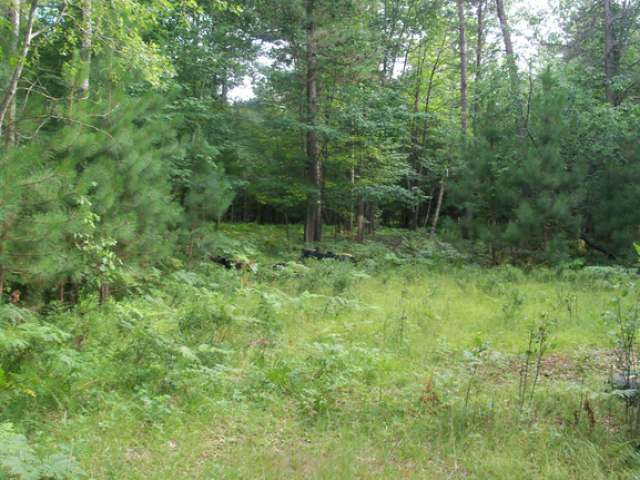 9109 North Townline Road Woodruff, WI 54568 - Photo 4 of 7 Gallery Image 4