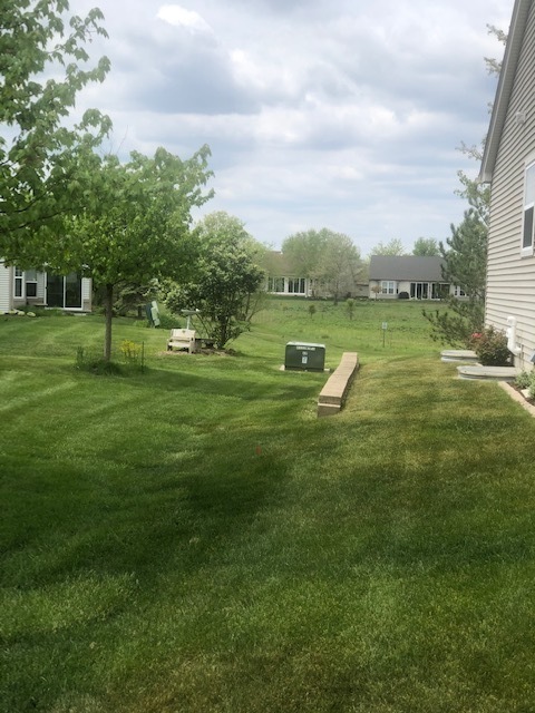 2436 Rolling Ridge Elgin, IL 60124 - Photo 3 of 3