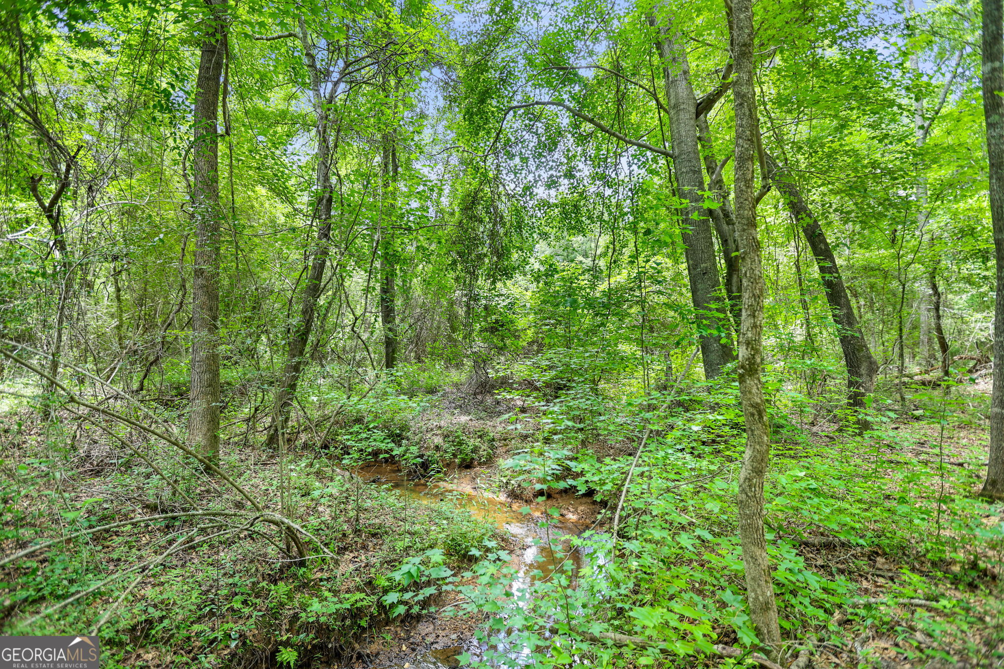 11.59-ac Hunt Road LaGrange, GA 30241 - Photo 1 of 34 a view of a lush green forest