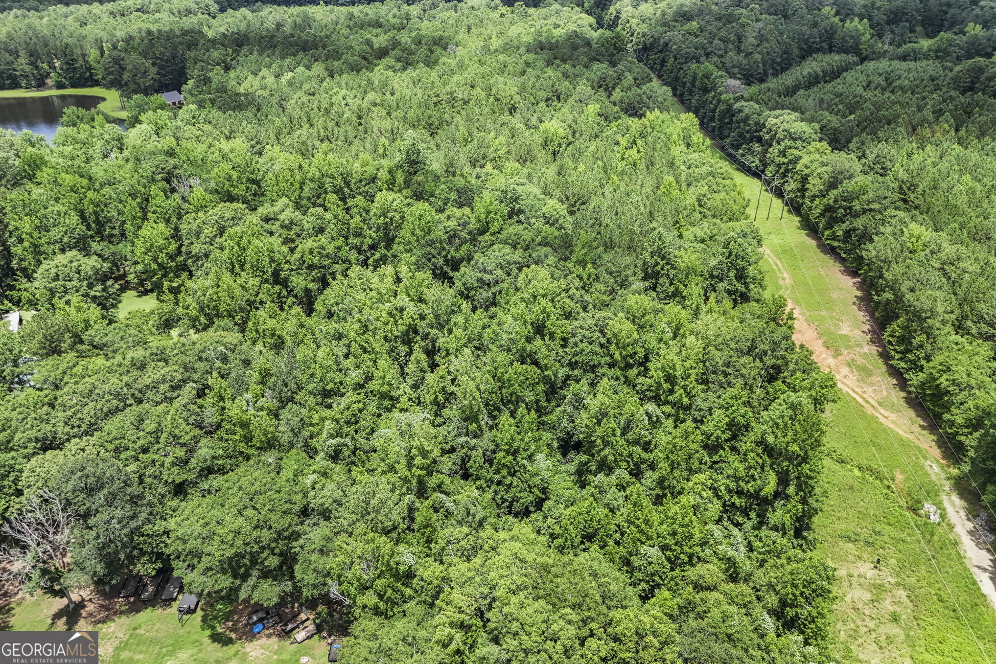 11.59-ac Hunt Road LaGrange, GA 30241 - Photo 15 of 34 a view of a lush green forest with lots of trees