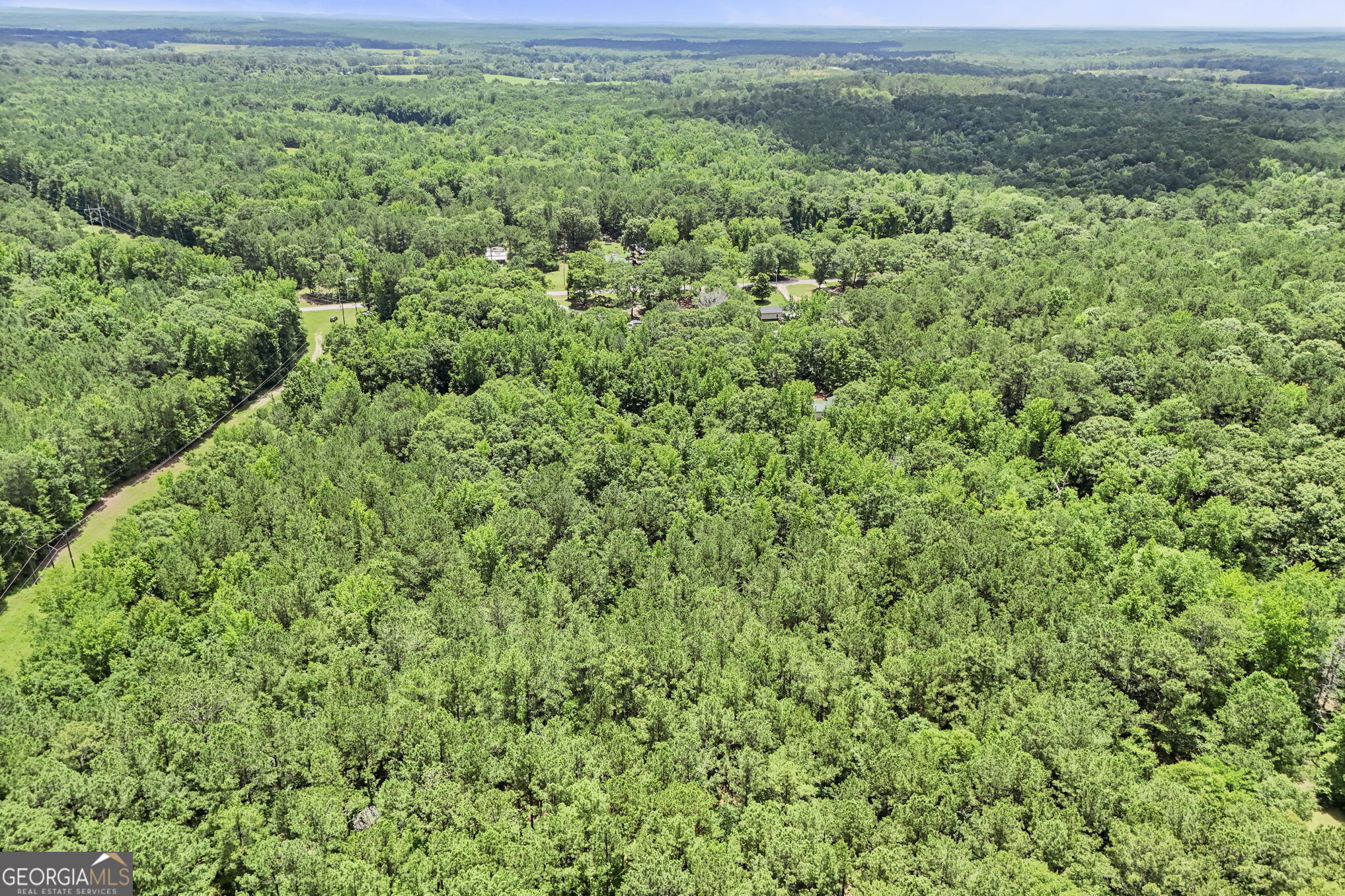 11.59-ac Hunt Road LaGrange, GA 30241 - Photo 20 of 34 a view of a big yard with plants and large trees
