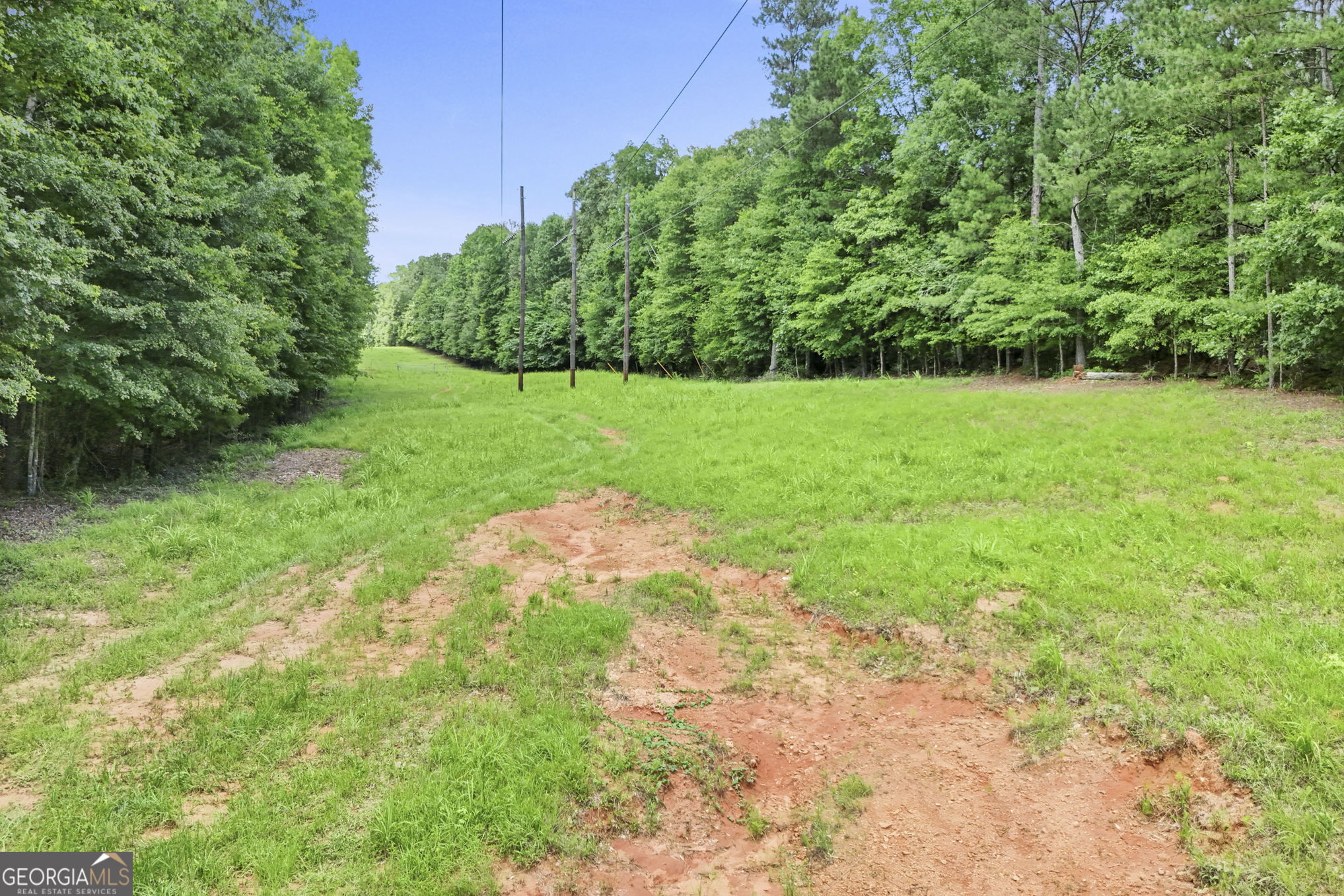 11.59-ac Hunt Road LaGrange, GA 30241 - Photo 21 of 34 a view of a garden with a tree