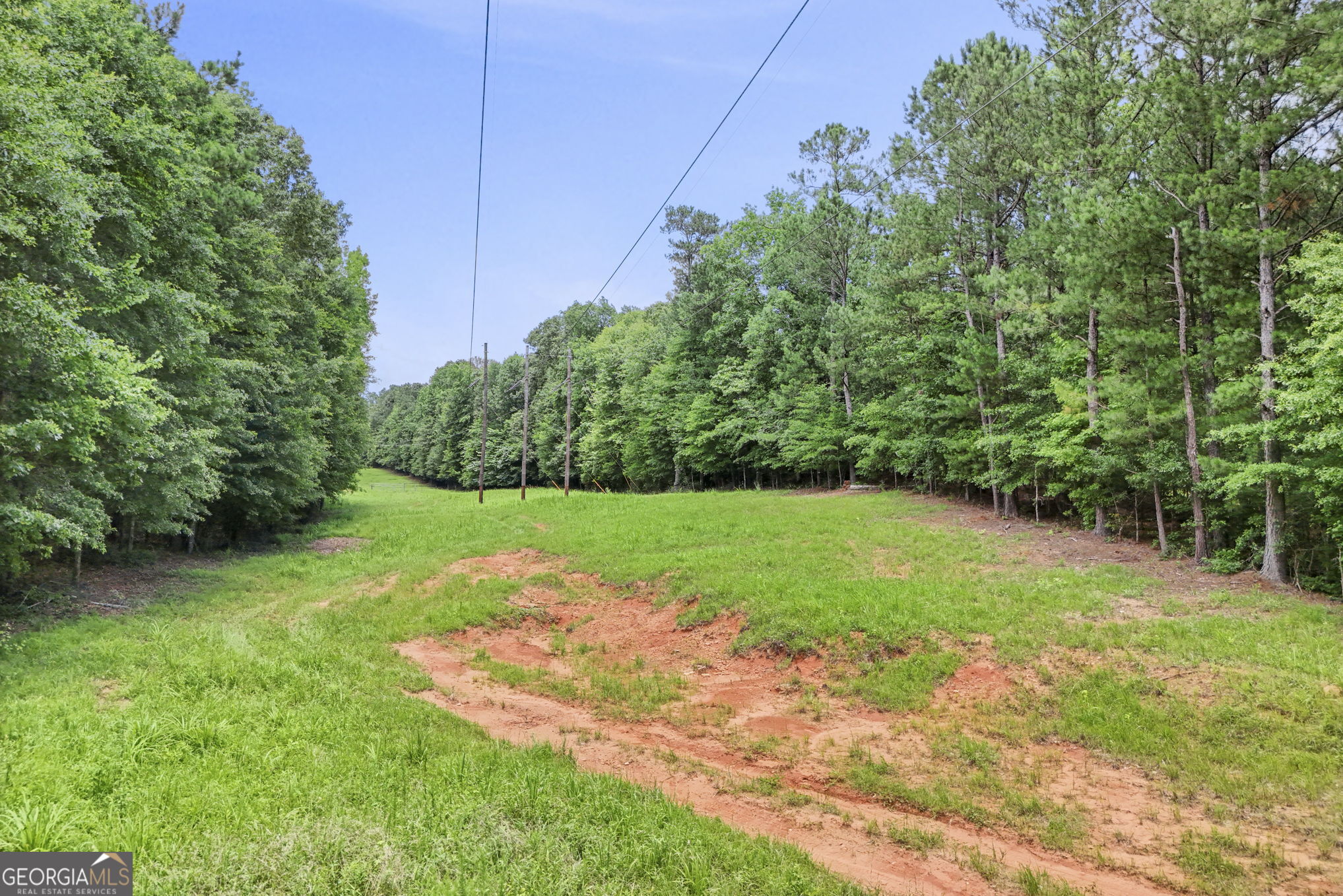 11.59-ac Hunt Road LaGrange, GA 30241 - Photo 24 of 34 a view of a backyard with potted plants and large trees