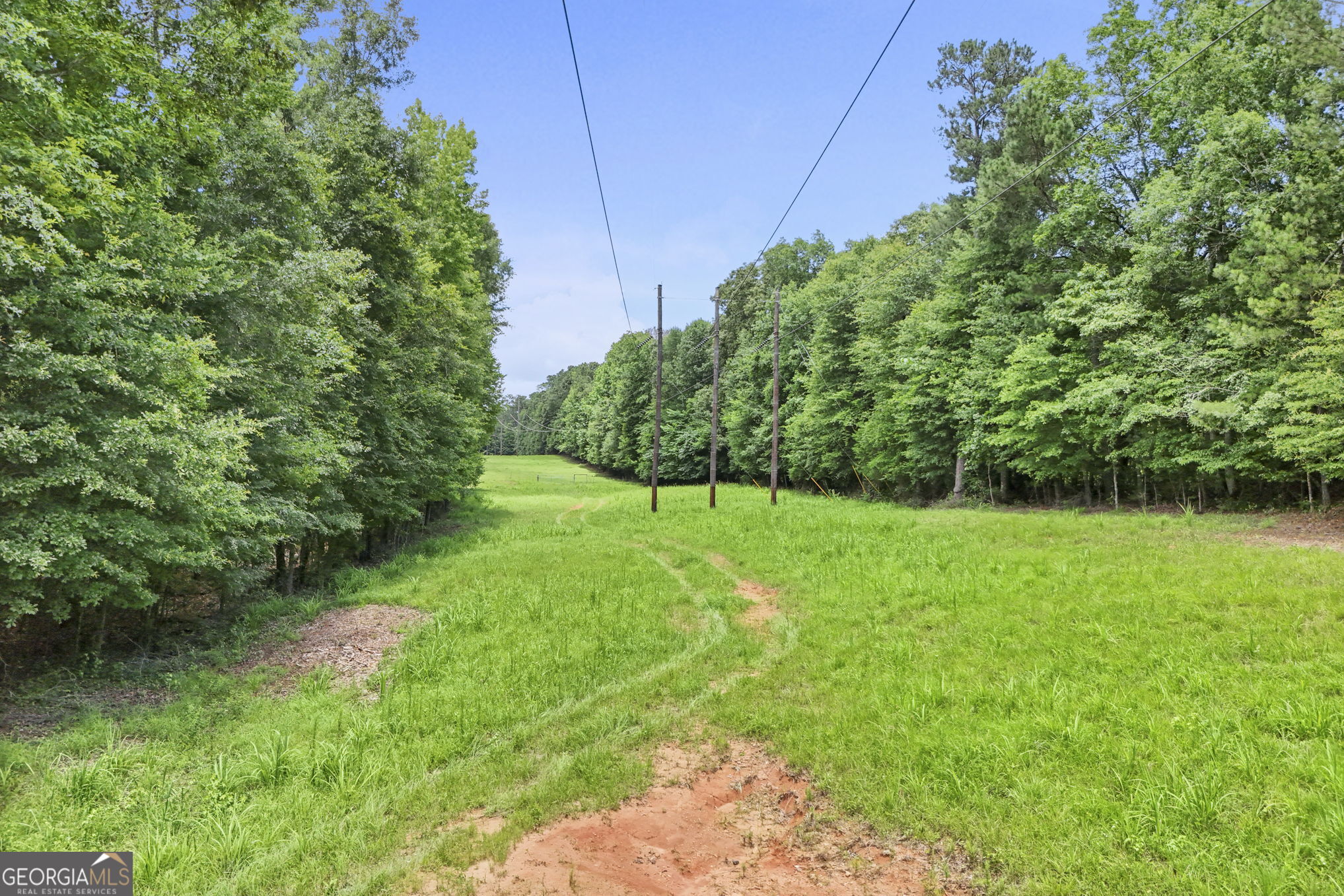 11.59-ac Hunt Road LaGrange, GA 30241 - Photo 25 of 34 a view of a yard with a tree