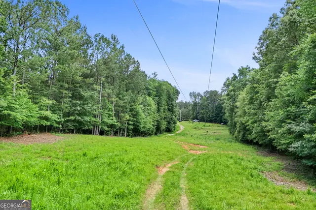 a view of green field with trees in the background