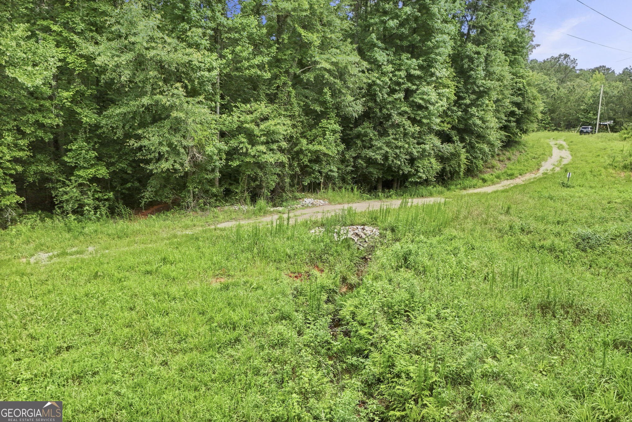 11.59-ac Hunt Road LaGrange, GA 30241 - Photo 29 of 34 a view of a lush green space