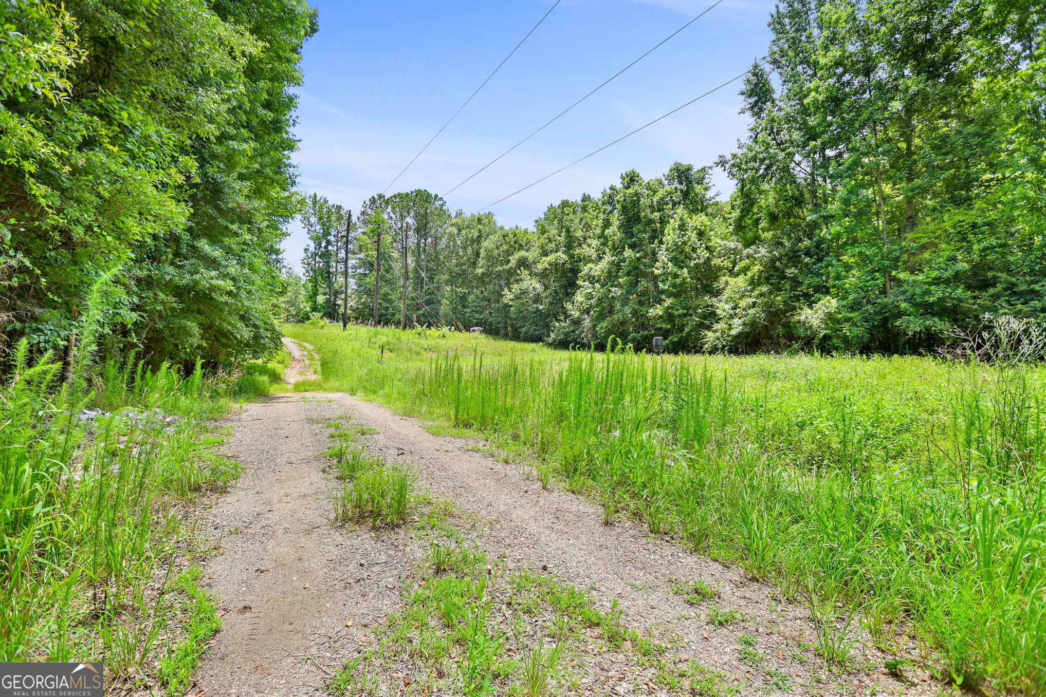 11.59-ac Hunt Road LaGrange, GA 30241 - Photo 3 of 34 a view of a yard with plants and a small yard