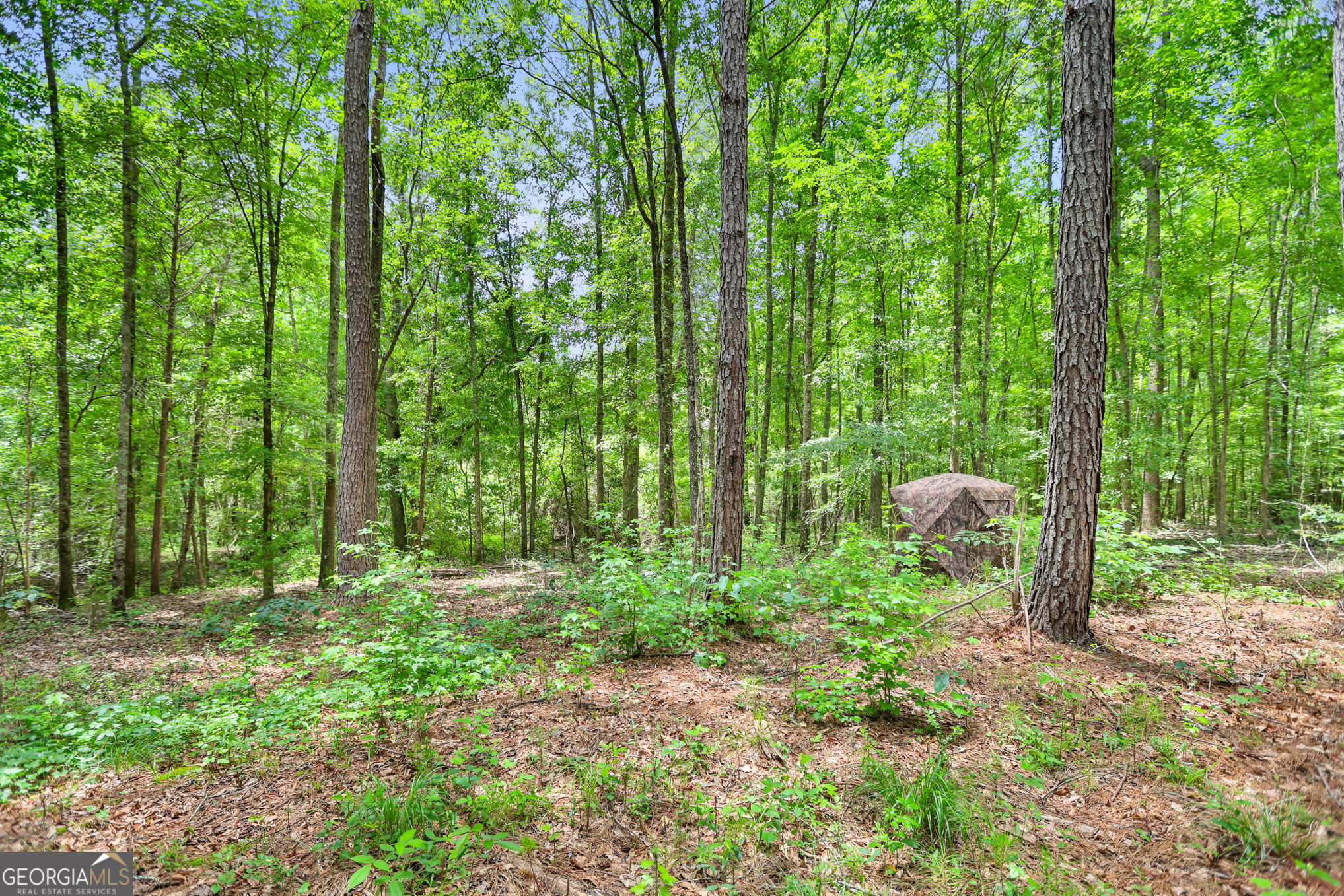 11.59-ac Hunt Road LaGrange, GA 30241 - Photo 33 of 34 a view of outdoor space and garden
